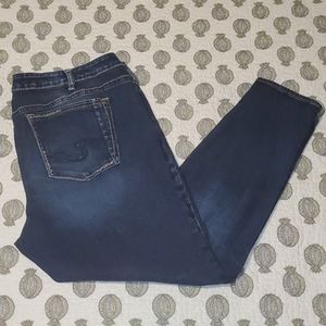 Silver Jeans Suki skinny
